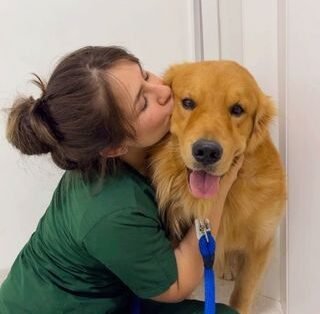 Niñera De Mascotas Medellín